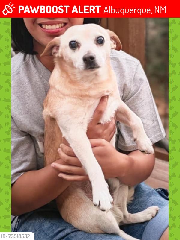 Lost Male Dog last seen Unser and Paradise, Albuquerque, NM 87114