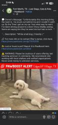 Lost Male Dog last seen Legato LnFort Worth, TX 76134United States, Fort Worth, TX 76134