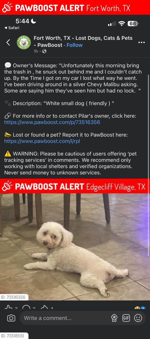 Lost Male Dog last seen Legato LnFort Worth, TX 76134United States, Fort Worth, TX 76134