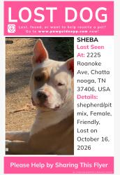 Reunited Female Dog last seen Roanoke and Glass, Chattanooga, TN 37406