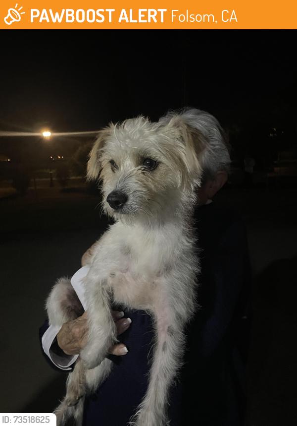 Found/Stray Male Dog last seen Oak Avenue Parkway and Creekside Drive, Folsom, CA 95630