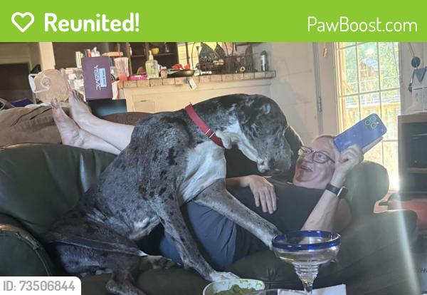 Reunited Male Dog last seen Near and cr 1200, Cleburne, TX 76031