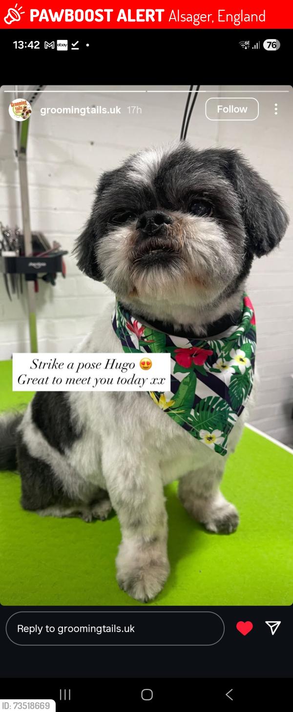 Lost Male Dog last seen Wilbrahim arms, Alsager, England 