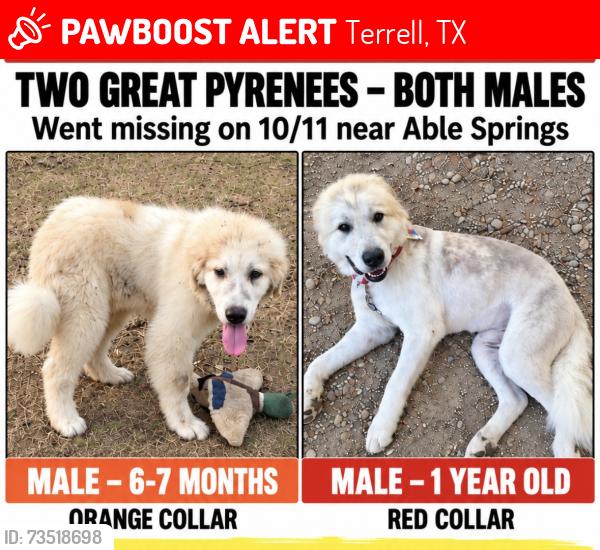 Lost Male Dog last seen Near Able Springs Cafe-FM 429 & CR 329, Terrell, TX 75161