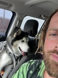 Reunited Male Dog last seen 17th st, Altoona, PA 16602