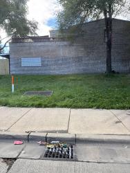 Lost Male Dog last seen Near 28th place, Cicero, IL 60804
