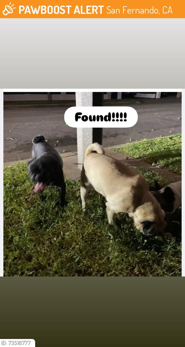 Found/Stray Male Dog last seen Hubbard n Glenoaks, San Fernando, CA 91341
