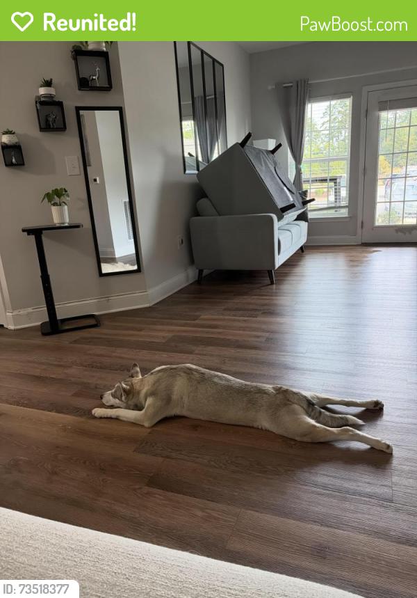 Reunited Female Dog last seen Conjunto residencial Revere at Mooresville, Mooresville, NC 28117