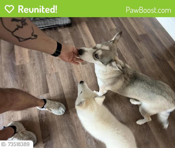 Reunited Female Dog last seen Near Hathaway Ln, Revere at Mooresville, Mooresville, NC 28117
