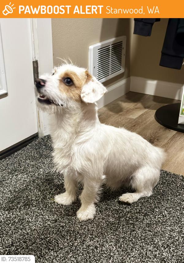 Found/Stray Male Dog last seen 332nd ST NW, Stanwood, WA 98292