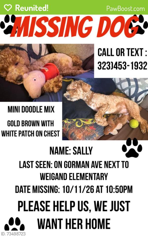 Reunited Female Dog last seen 103rd st and Gorman Ave, Los Angeles, CA 90002