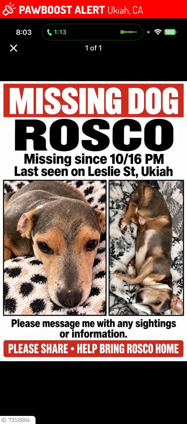 Lost Male Dog last seen Gobbie and Perkins at, Ukiah, CA 95482