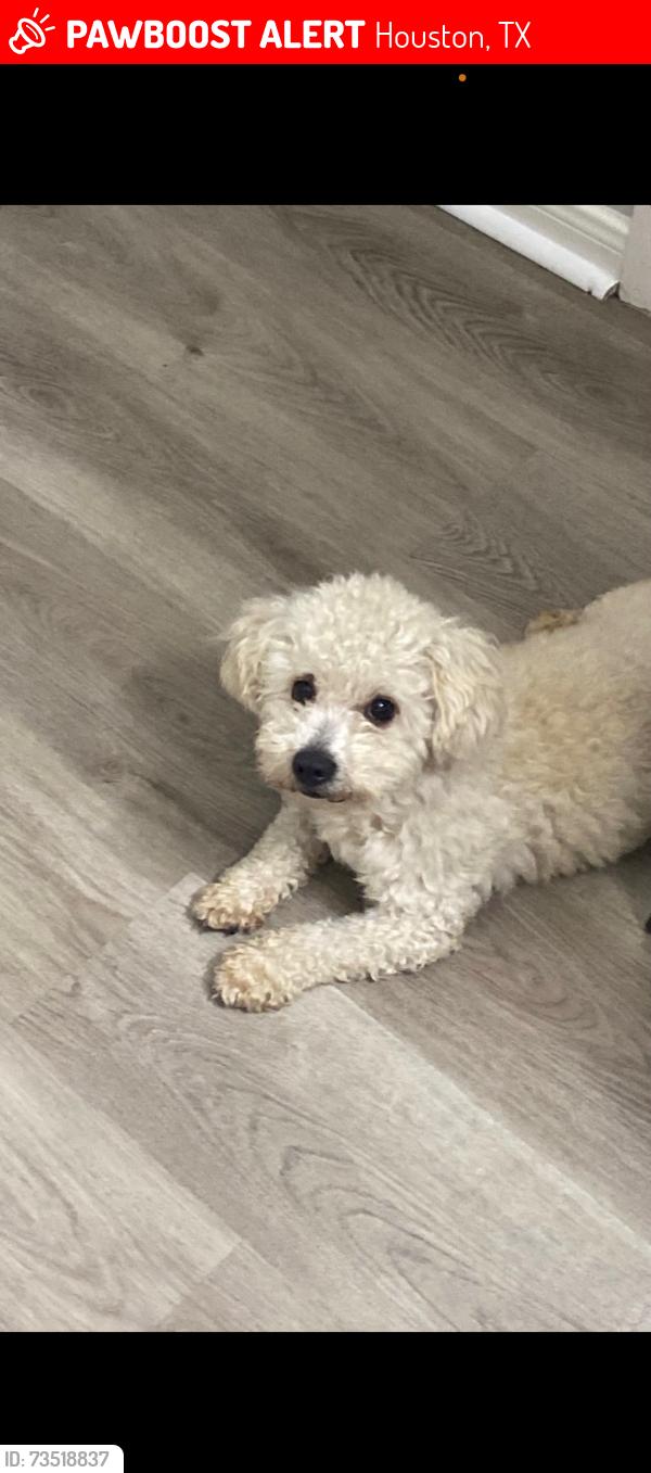 Lost Male Dog last seen Harvest bend, Houston, TX 77064