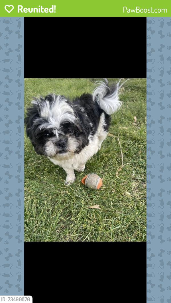 Reunited Male Dog last seen Swann St, McMinnville, TN 37110, USA, McMinnville, TN 37110