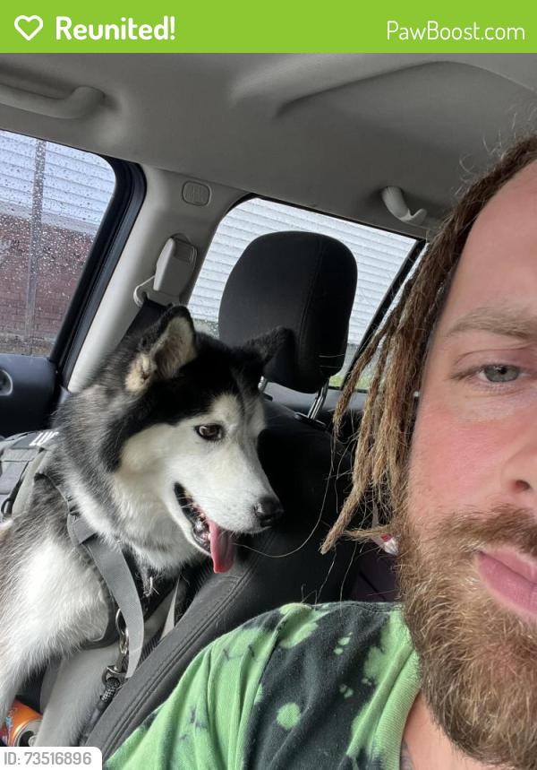 Reunited Male Dog last seen 17th st, Altoona, PA 16602