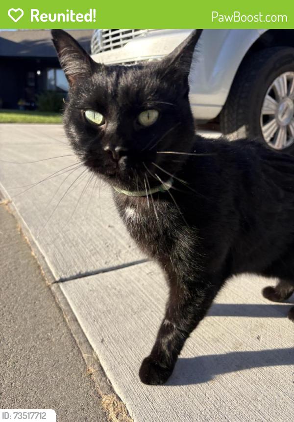 Reunited Unknown Cat last seen Stoney creek, Sioux Falls, SD 57106