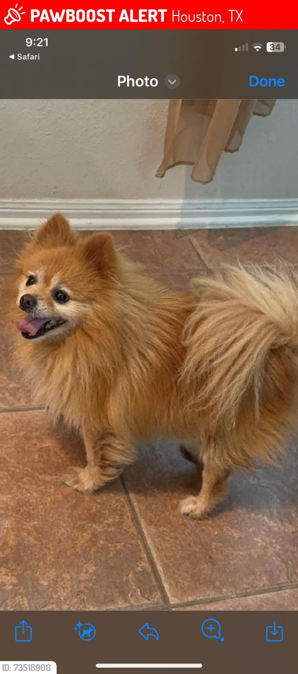 Lost Male Dog last seen Blackhawk @ kirkville dr., Houston, TX 77089