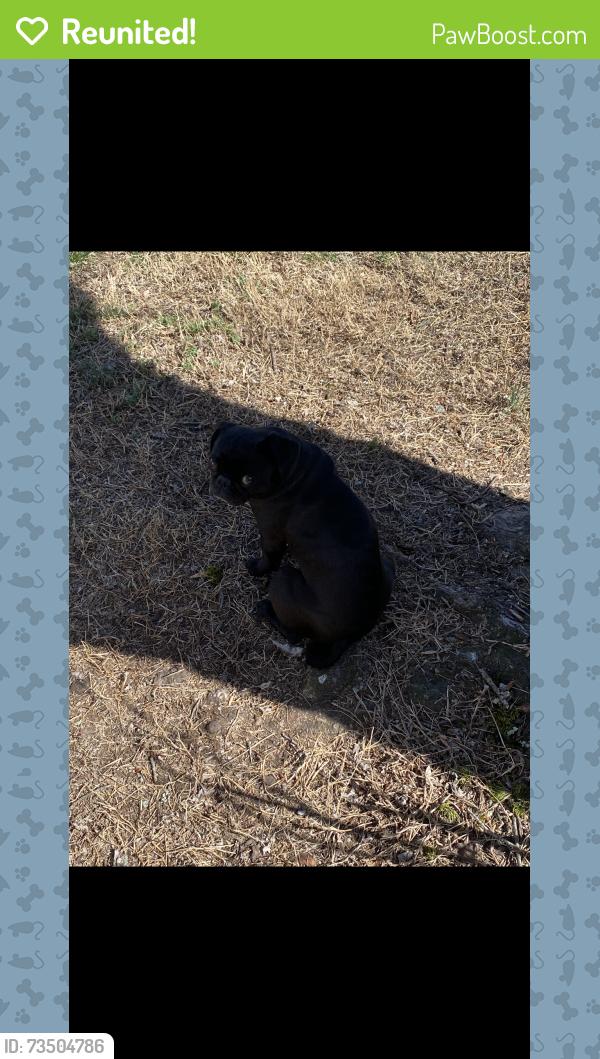 Reunited Female Dog last seen Near block of parkside and cottage, Richmond, VA 23228