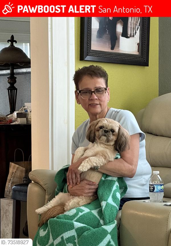 Lost Female Dog last seen Ridge Post, San Antonio, TX 78250