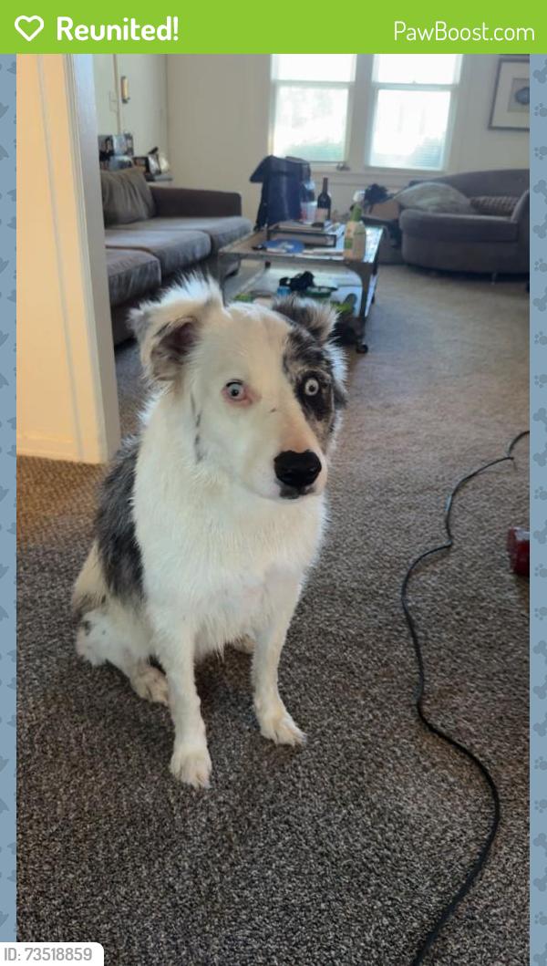 Reunited Male Dog last seen Nw 33rd st and n Drexel blvd, Oklahoma City, OK 73112
