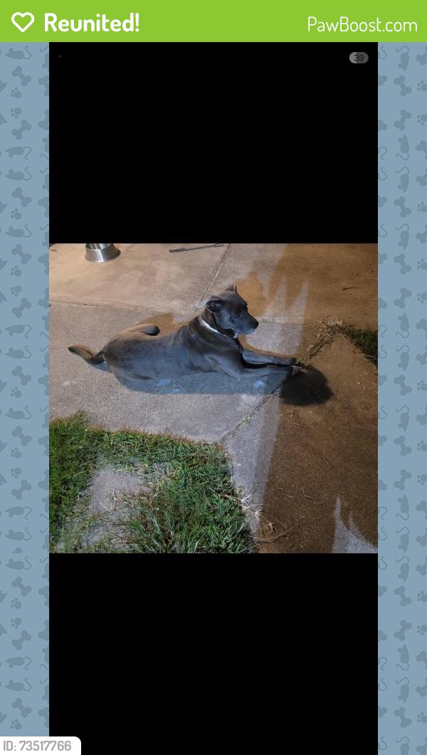 Reunited Female Dog last seen 34th and 290, Houston, TX 77092