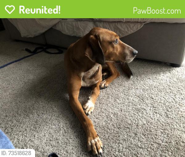 Reunited Male Dog last seen SCOR sports complex, Richmond, VA 23220