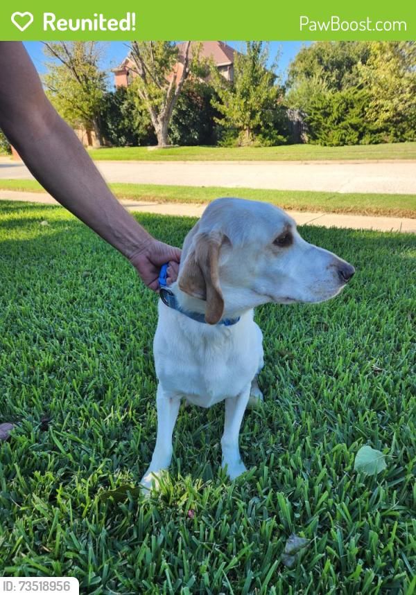 Reunited Unknown Dog last seen Hickory Hollow and Cross Timbers, North Richland Hills, TX 76182