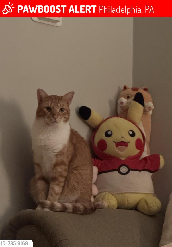 Lost Male Cat last seen Back alley 61& Sansom, Philadelphia, PA 19139