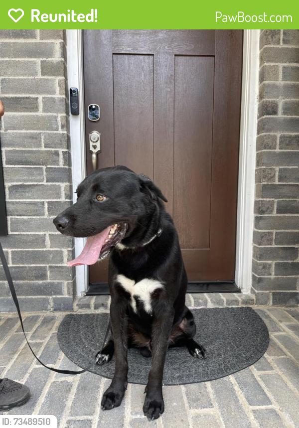 Reunited Male Dog last seen Woodforest, Houston, TX 77015