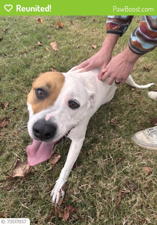 Reunited Female Dog last seen Monticello Ave and Goldie Dr, Goodlettsville, TN 37072