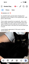 Reunited Female Cat last seen Watt grove, Mayfield, Scotland 