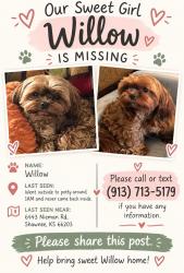 Lost Female Dog last seen Nieman and 65th street, Shawnee, KS 66203
