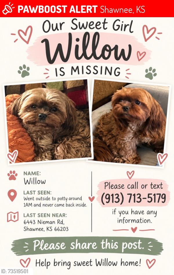 Lost Female Dog last seen Nieman and 65th street, Shawnee, KS 66203