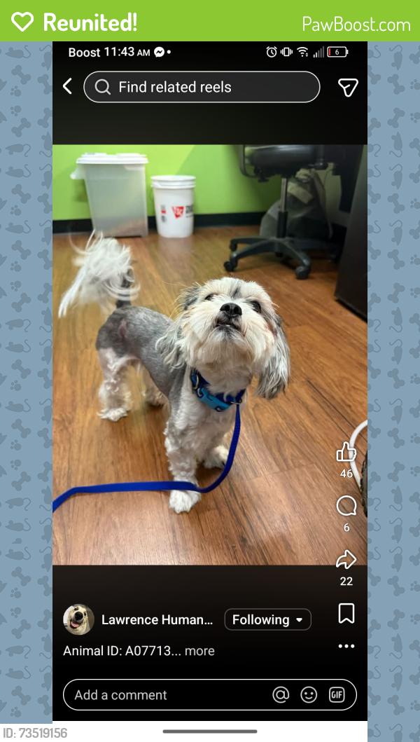 Reunited Male Dog last seen 25th & Bell Haven, Lawrence, KS 66046