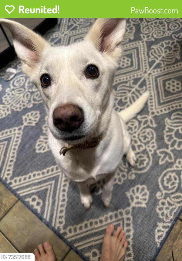 Reunited Female Dog last seen Chisholm’s Cattle Trail Park, Norman, OK 73071