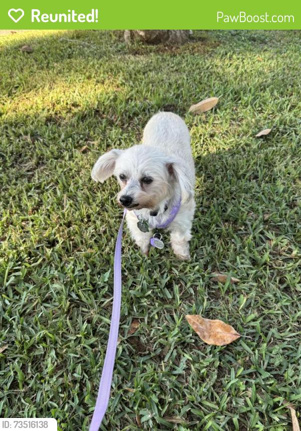 Reunited Female Dog last seen Fonden, Houston, TX 77071