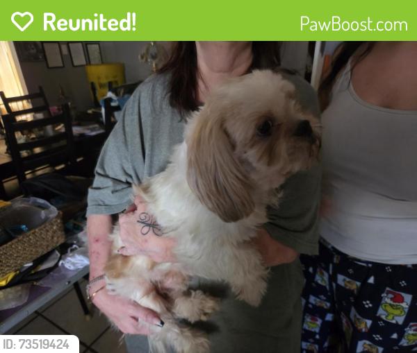 Reunited Male Dog last seen Bridgepoint Ln & Bridgemont Ln, Spring, TX 77388