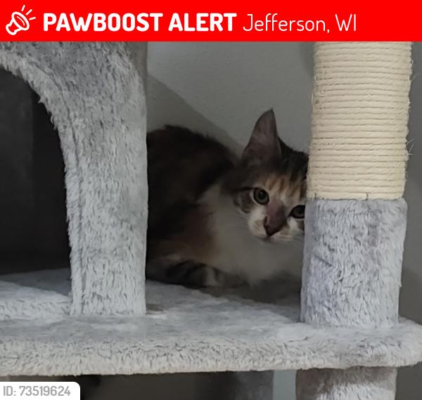 Lost Female Cat last seen Jefferson Fairgrounds, Jefferson, WI 53549