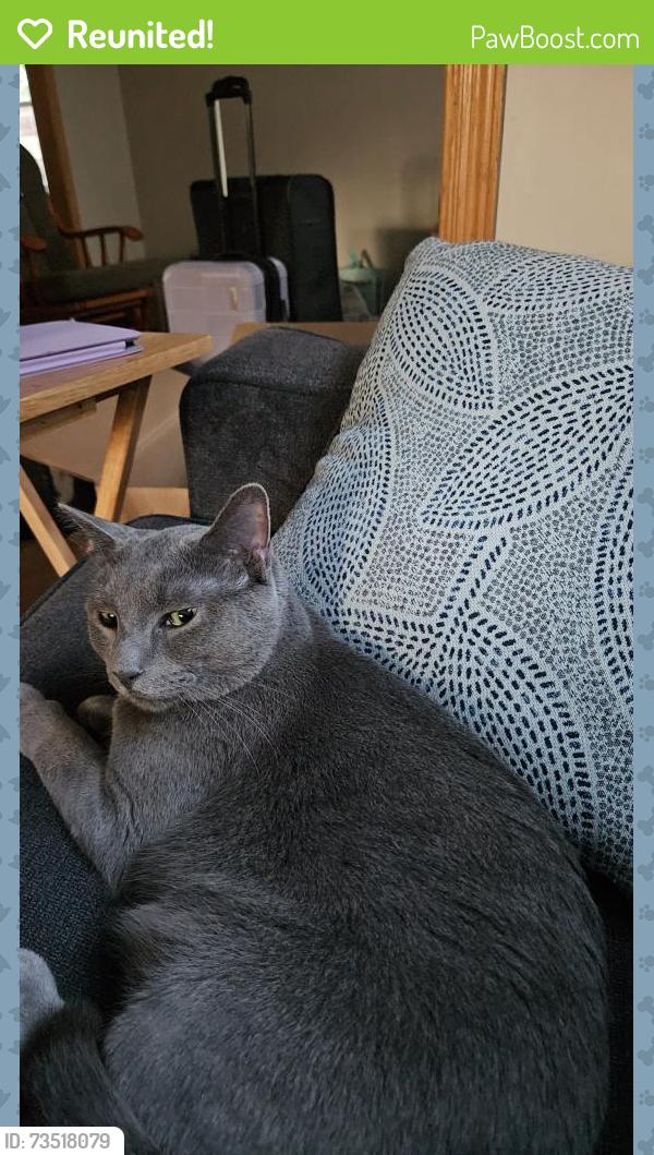 Reunited Male Cat last seen Near Ave N, Minneapolis, MN 55411