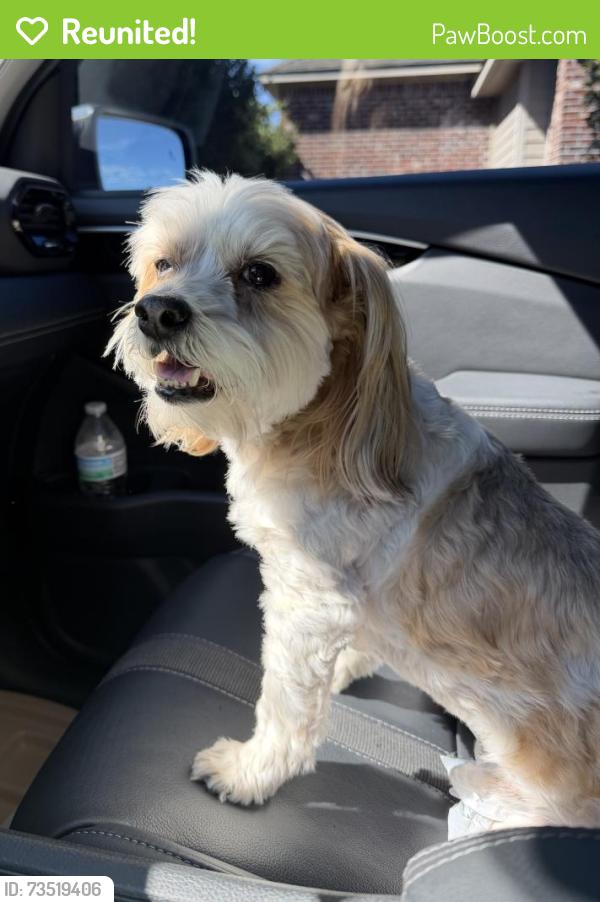 Reunited Male Dog last seen Copper Meadows Neighborhood, Youngsville, LA 70592