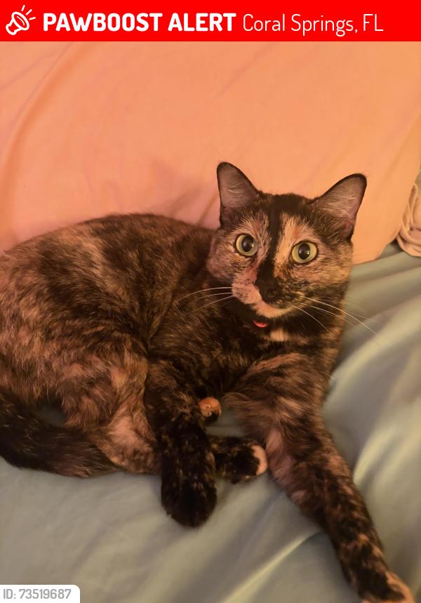 Lost Female Cat last seen 4298-4200 NW 75th Ave, Coral Springs, FL 33065, Coral Springs, FL 33065