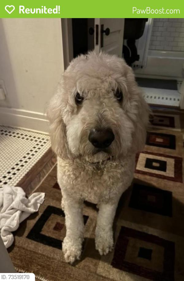 Reunited Male Dog last seen Joyner and Nolensville, Nashville, TN 37210