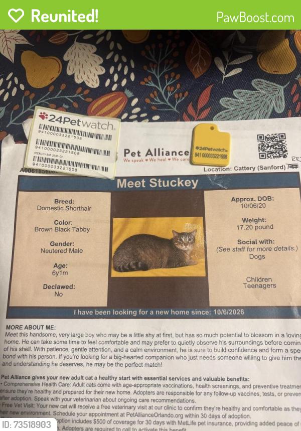 Reunited Male Cat last seen Near Geranium Lane Apt 209, Sanford, FL 32771