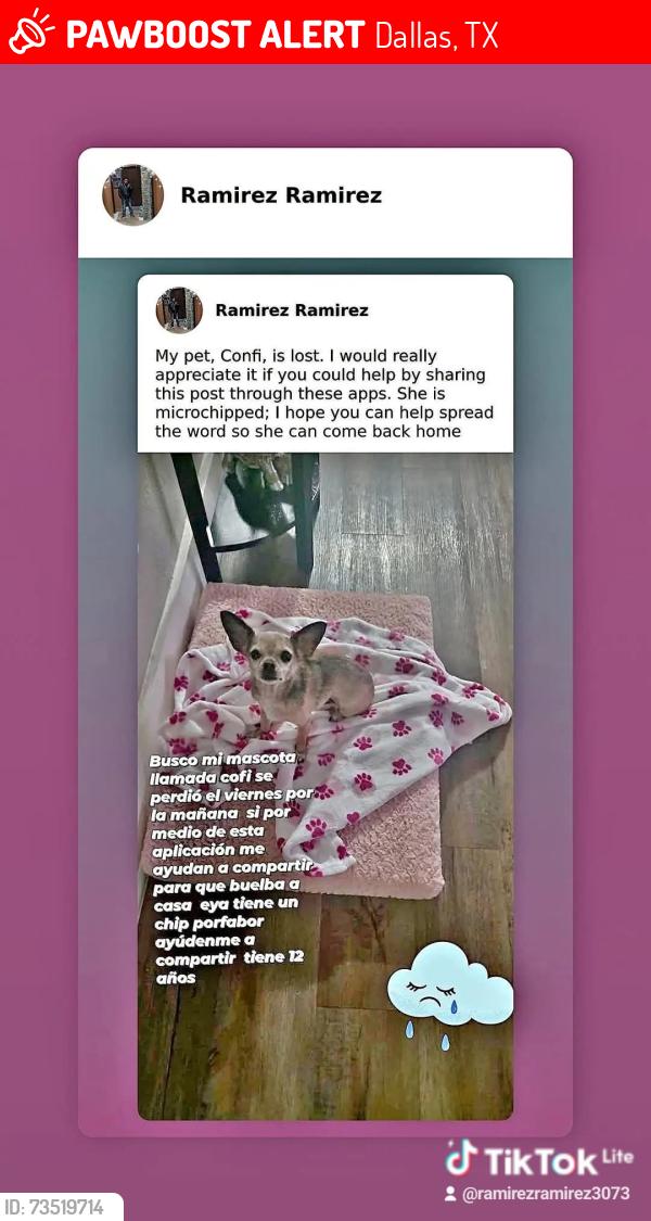 Lost Female Dog last seen Dallas tx eeuu, Dallas, TX 75218