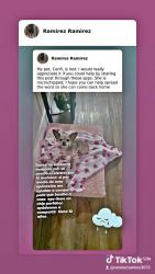 Lost Female Dog last seen Dallas tx eeuu, Dallas, TX 75218