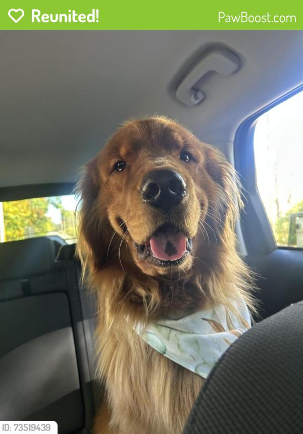 Reunited Male Dog last seen Robinson road, bear Reeds Lake, East Grand Rapids, MI 49506