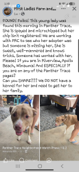 Found/Stray Female Dog last seen Panther Trace Blvd., Riverview, FL 33579
