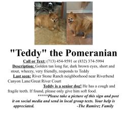 Reunited Male Dog last seen Great River Court, Houston, TX 77089