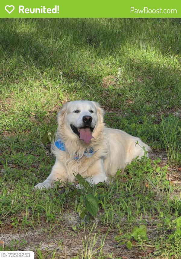 Reunited Male Dog last seen Near Derringer Rd, Jacksonville, FL 32225, USA, Jacksonville, FL 32225
