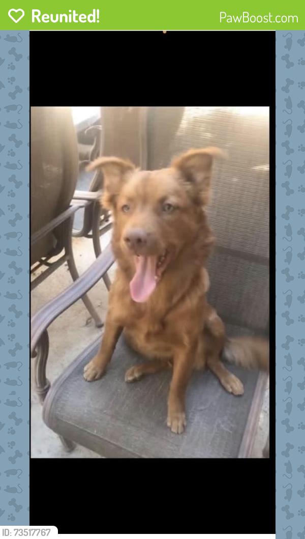 Reunited Female Dog last seen Rider, Perris, CA 92571